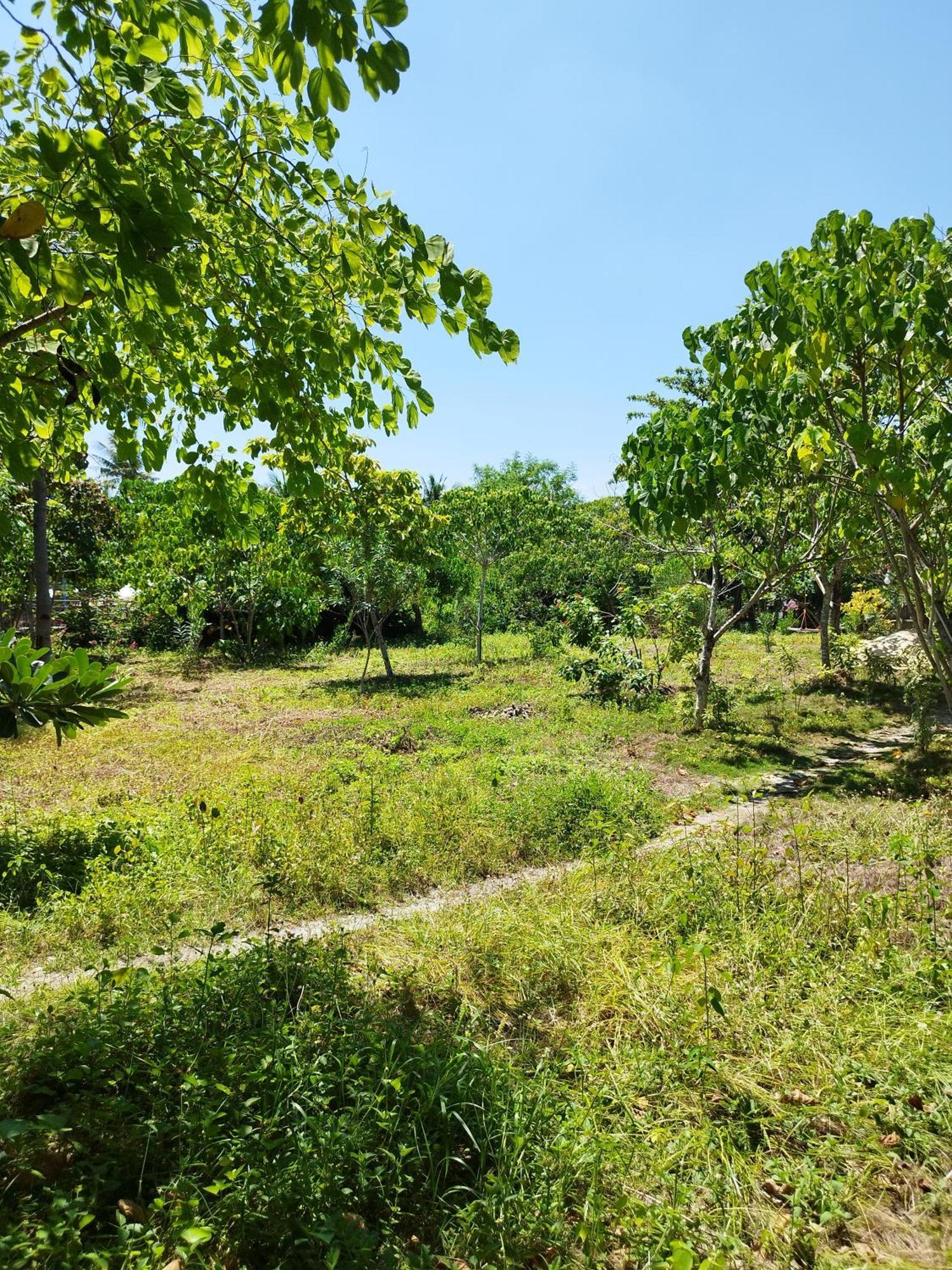 מלאפסקואה איילנד Celtis Resort מראה חיצוני תמונה